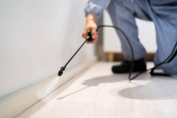 Licensed Pest Control service in West Wyoming, PA - Show Me Pest Control
